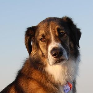 Meet your Posher, Lynne